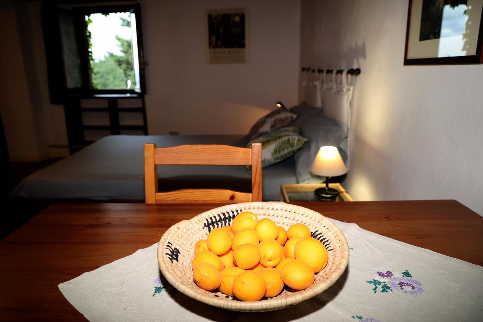 منزل الضيف Montemassi  في Casa Marju المظهر الخارجي الصورة